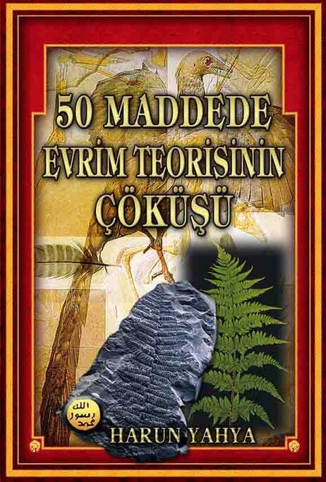 50 Maddede Evrim Teorisinin Çöküşü